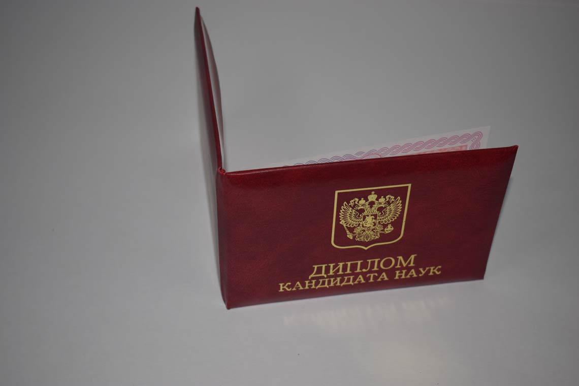 Диплом Кандидата Наук 2013-2016 в Архангельске корка